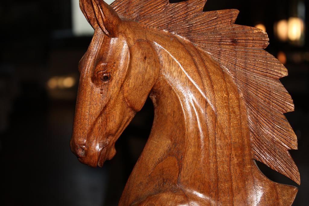 Logis Hotel Restaurant Le Flamant Rose Camargue Albaron Bagian luar foto